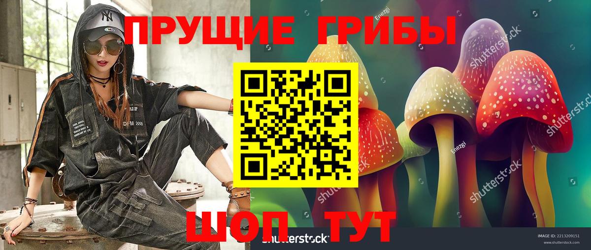где можно купить   Вход с VPN  Зерноград  Псилоцибиновые грибы MAGIC MUSHROOMS 
