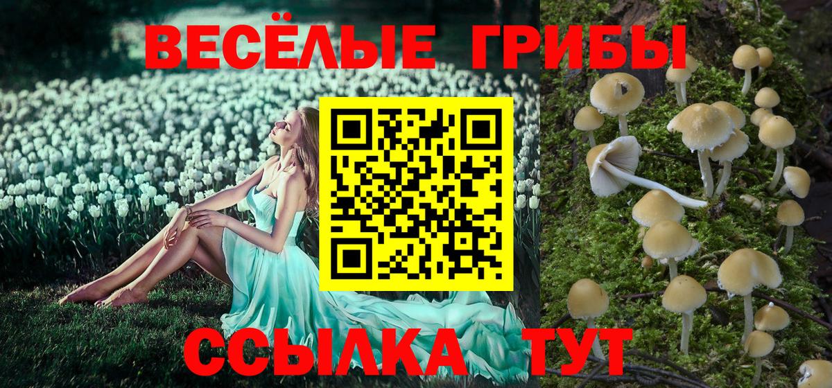 Псилоцибиновые грибы мицелий Зерноград